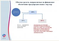 Новый порядок финансового обеспечение предупредительных мер