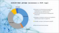 Отчет об исполнении бюджета (2024 год)
