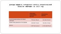 Отчет об исполнении бюджета (2025 год)