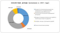 Отчет об исполнении бюджета (2025 год)