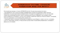 Отчет об исполнении бюджета (2025 год)