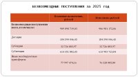 Отчет об исполнении бюджета (2025 год)